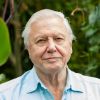 David Attenborough's Close-Up Face Headshot Portrait Celebrity Photo