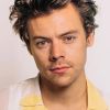 Harry Styles' Close-Up Face Headshot Portrait Celebrity Photo